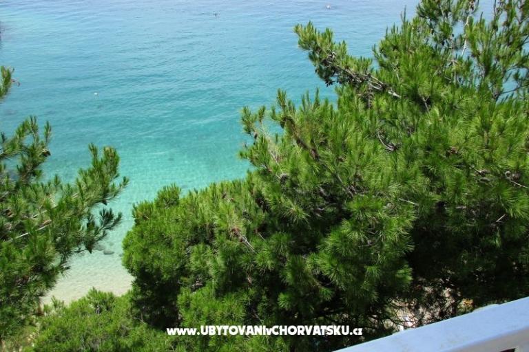 Apartments Darka on the beach – photo 3