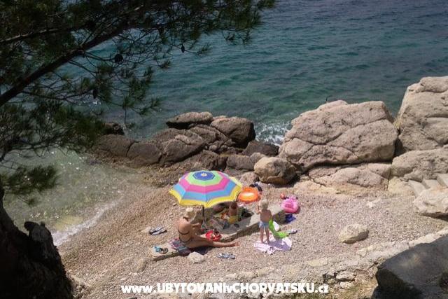 Apartments Delfin Stanići – photo 6