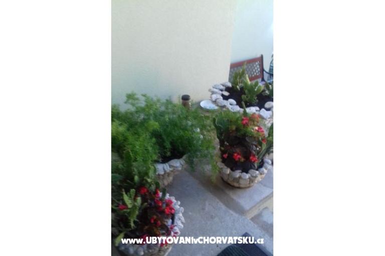 Apartments Draga – photo 10