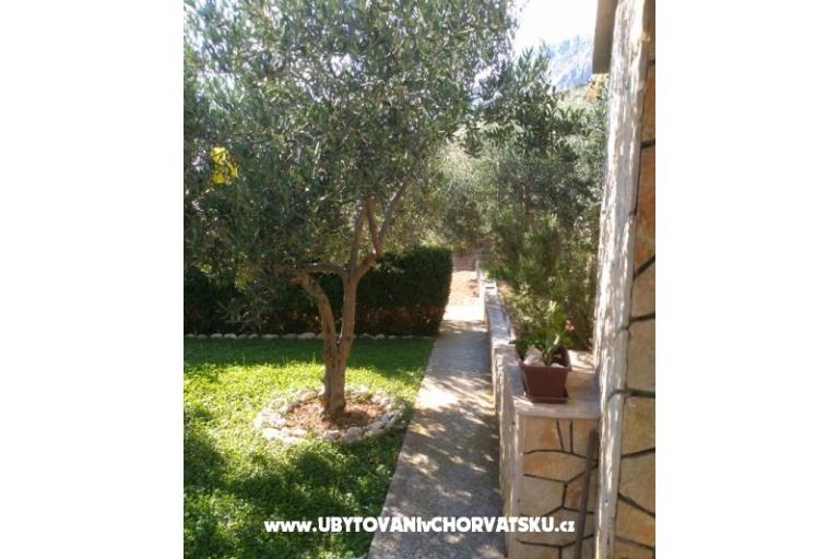 Apartments Draga – photo 7