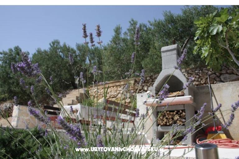 Apartments Dragana – photo 10