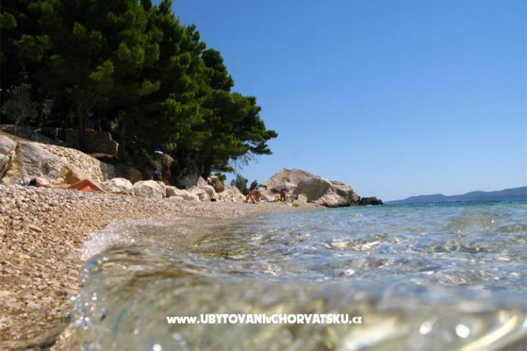 Apartments Dragana – photo 17