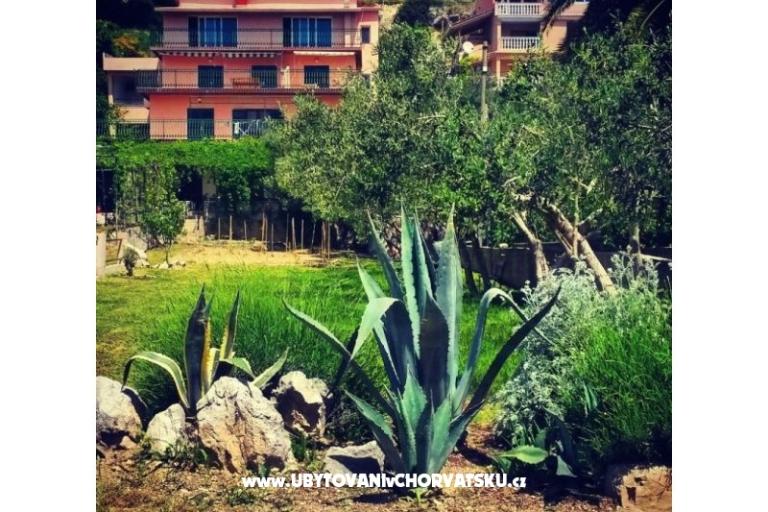 Apartments Dragica, Duće – photo 4