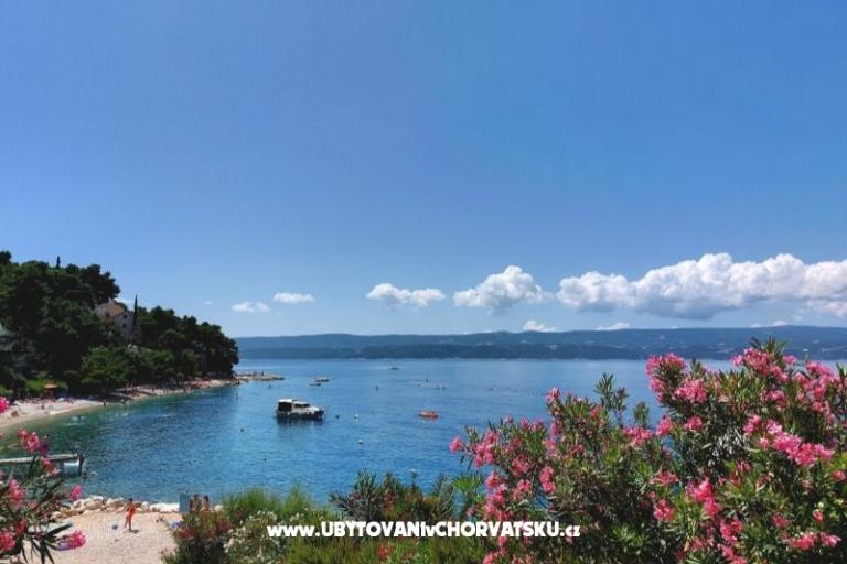 Apartment Duvnjak – photo 12