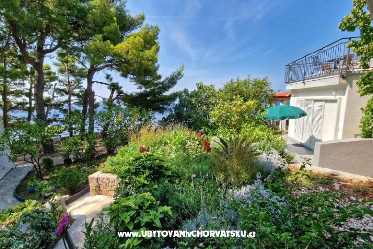 Apartments Hajdi – photo 26