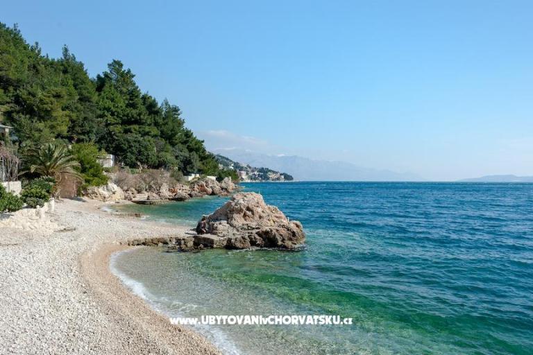 APARTMANI JELENA – photo 3