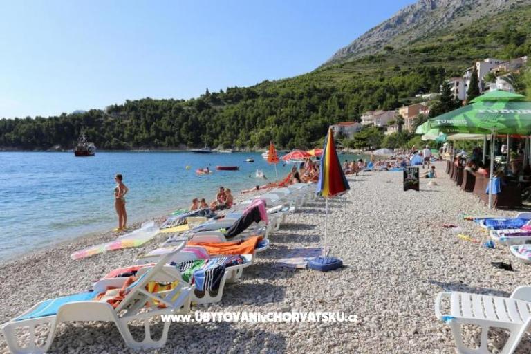 APARTMANI JELENA – photo 7