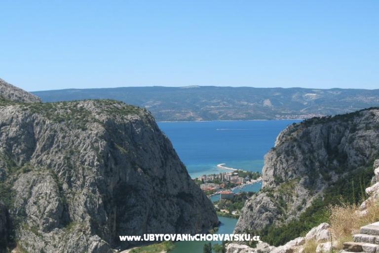 Apartments Kaktus – photo 13