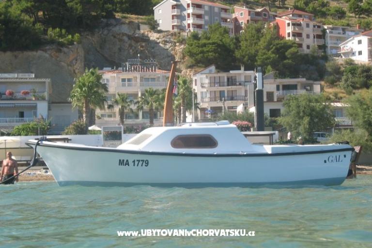 Apartments Kaktus – photo 2