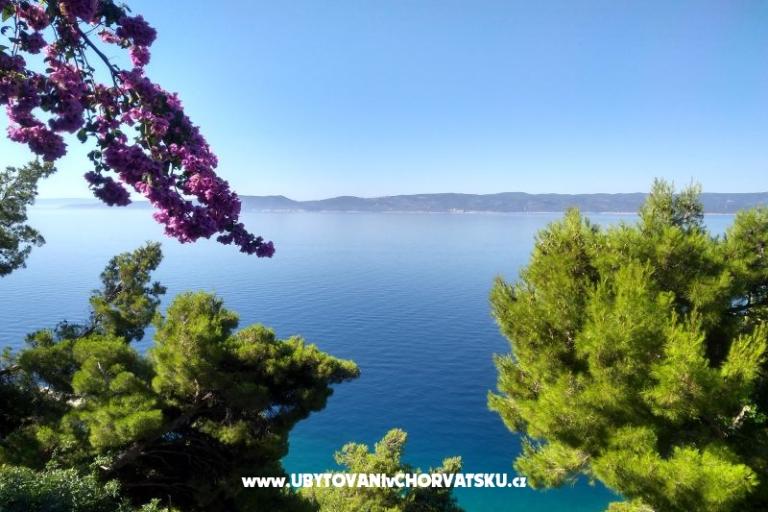 Apartments Katica – photo 12