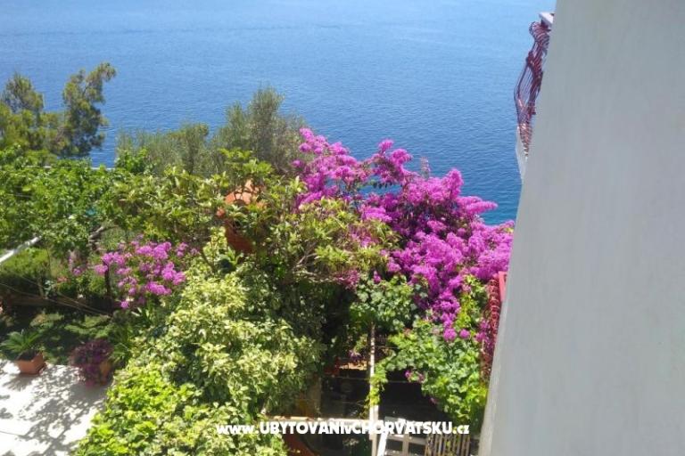 Apartments Katica – photo 21