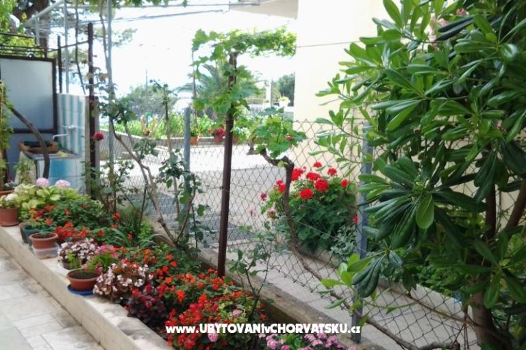 apartmani Kod cara – photo 7