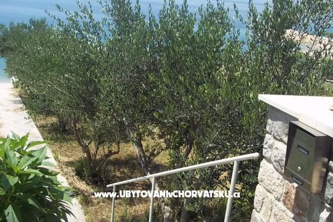 Apartments Kalajžić – photo 10