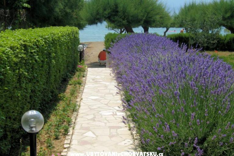 Apartments Lavanda – photo 3