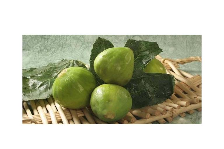 Apartments Linda – photo 12