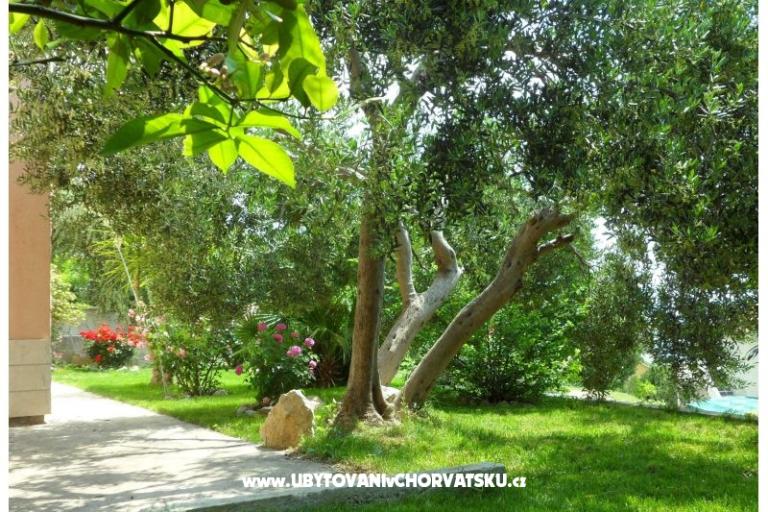 Apartments Maja – photo 3