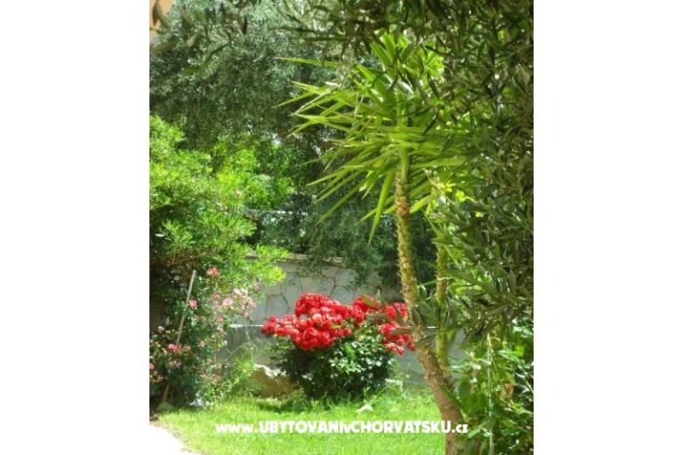 Apartments Maja – photo 4