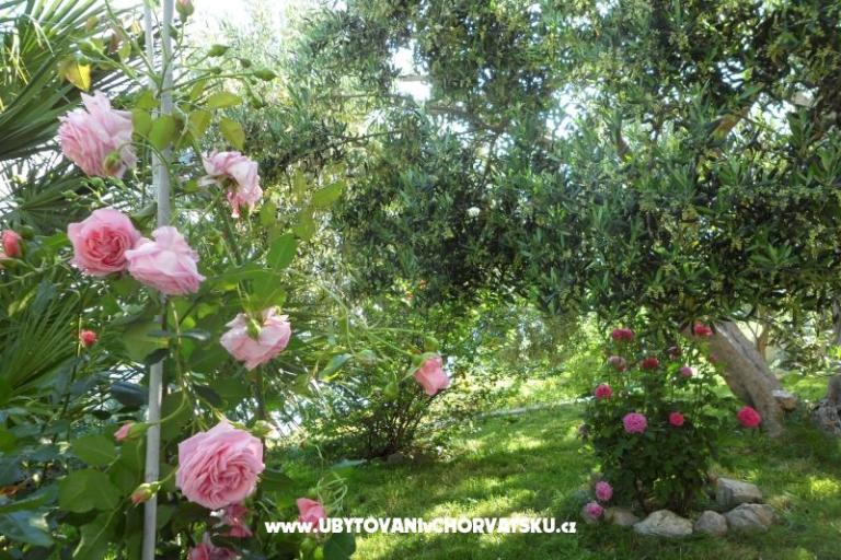 Apartments Maja – photo 6