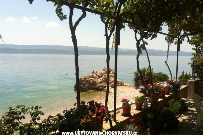 Apartments Miladin Mimica – photo 6