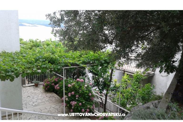 Apartments Milica – photo 14