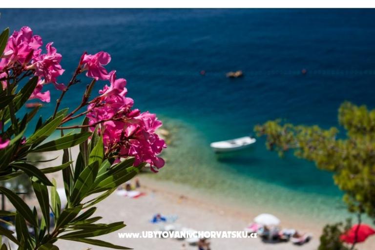 Apartments Mira – photo 17