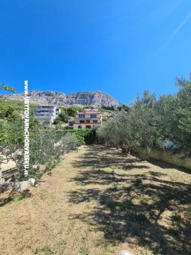 Apartments Miro, Duće – photo 4