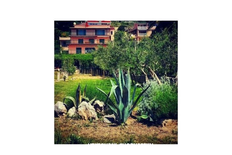 Apartments Miro, Duće – photo 7