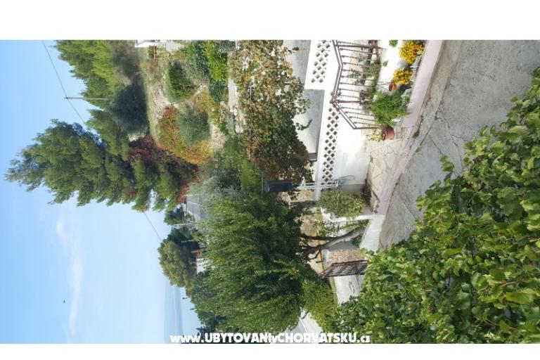 Apartments Mlikota  – photo 15