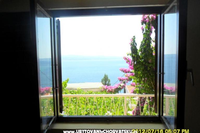 Apartments NIKO – photo 7