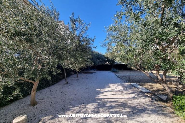 Apartments Pavković – photo 11