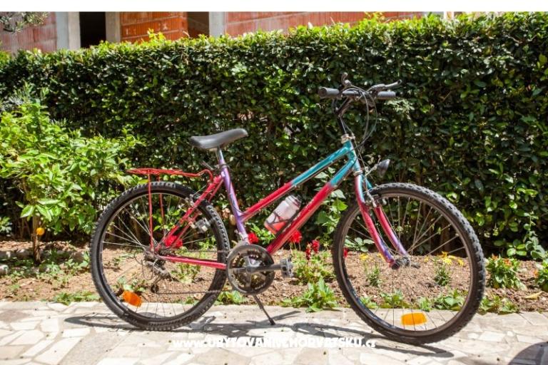 Apartments Pavlović Duće – photo 6