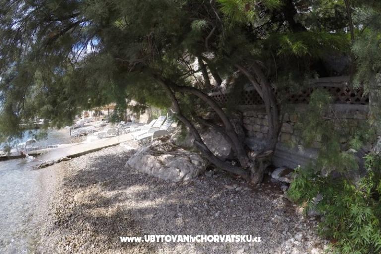 Apartments Steffi – photo 14