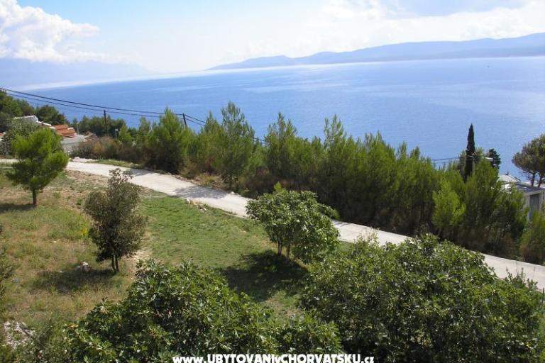 Apartments Stipe – photo 10