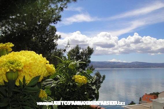 Apartments Tice – photo 5