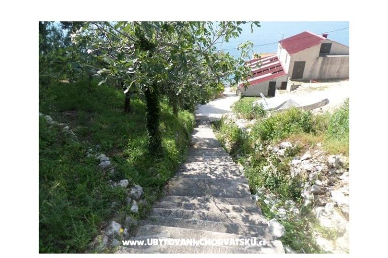 Apartments Villa Dodig – photo 9