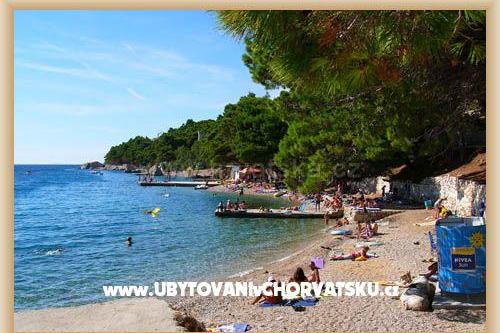 Apartments Villa Roza – photo 15