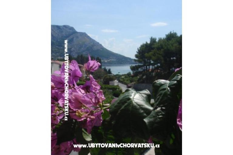 Apartments Vinka Saric – photo 2