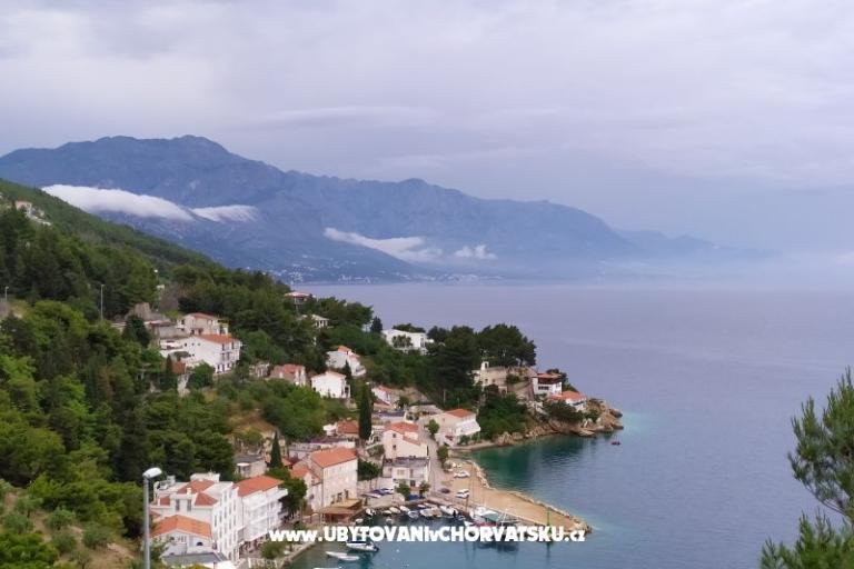 Apartments Visnjica – photo 10