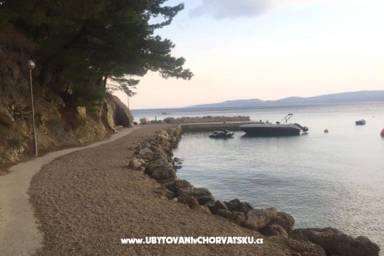 Apartments Visnjica – photo 11