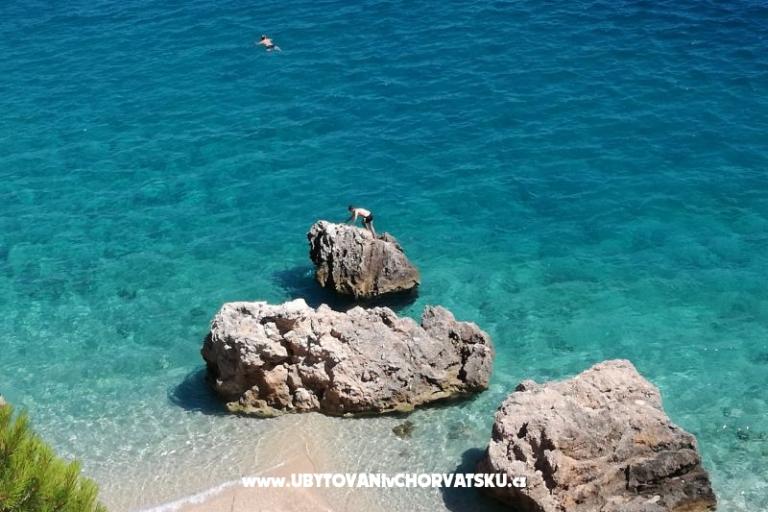 Apartments Visnjica – photo 5