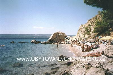 Apartments Celic – photo 3