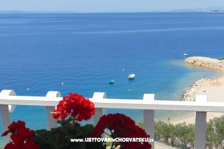 Apartment Zivkovic – photo 10