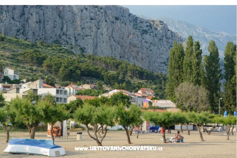 Apartment Ankorica – photo 4