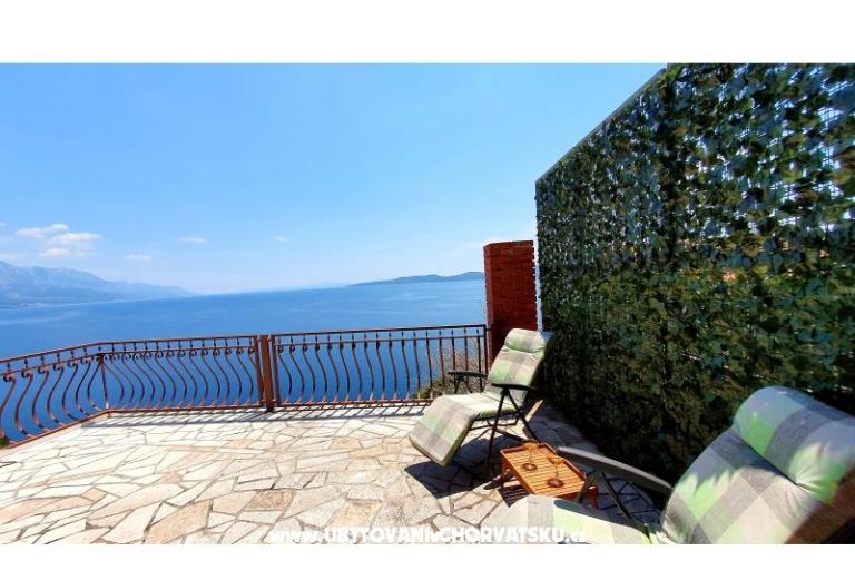 Apartment Bellevue – photo 3