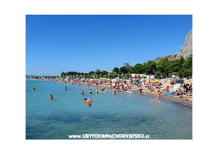 Apartment Roza – photo 12