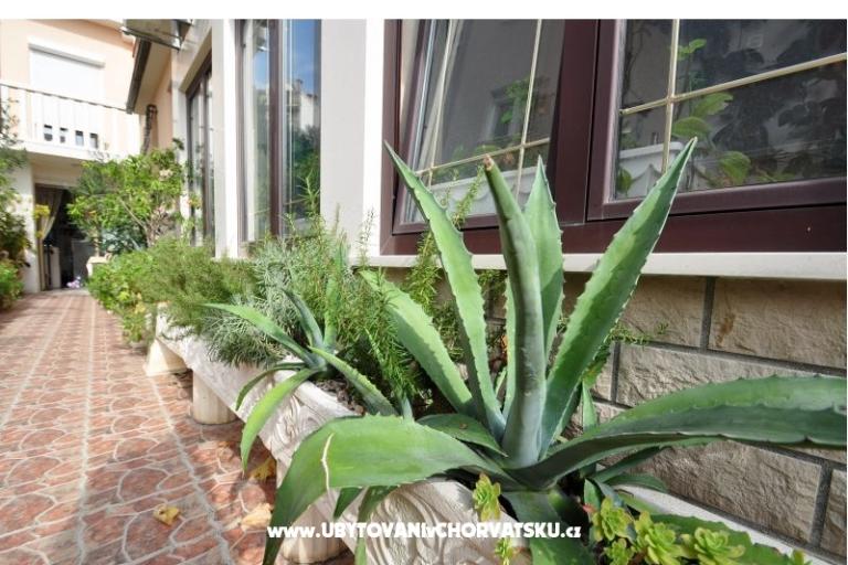 Apartments Babaja – photo 15