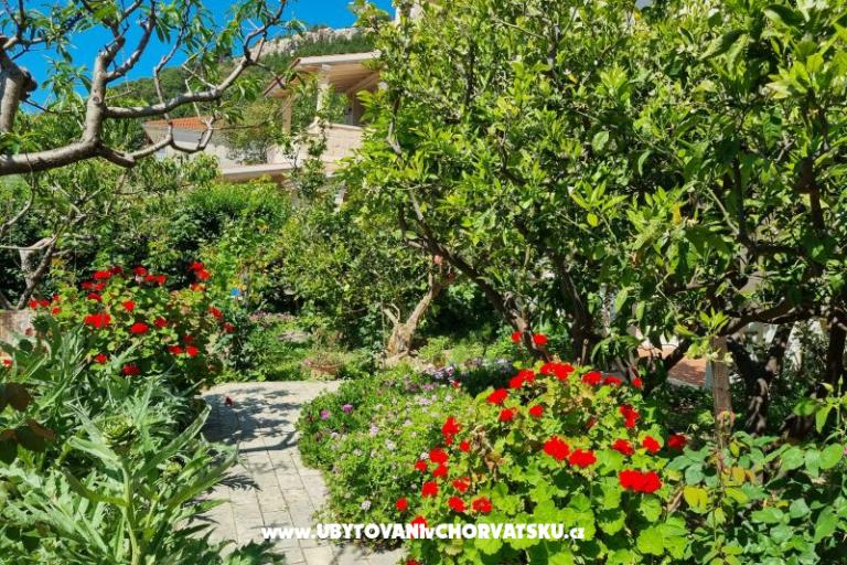 Apartments Diridonda – photo 43