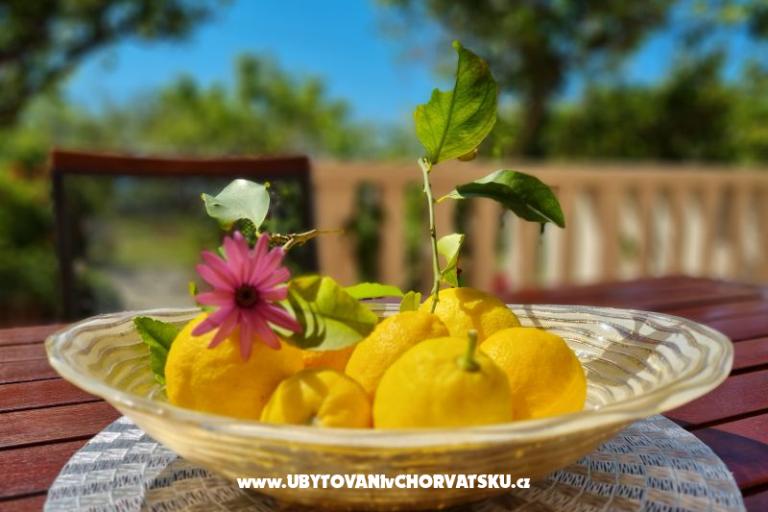 Apartments Diridonda – photo 46