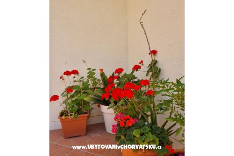 Apartments Diridonda – photo 48