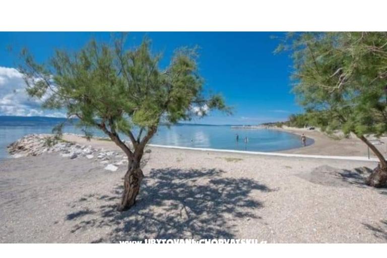 Apartments Diridonda – photo 54